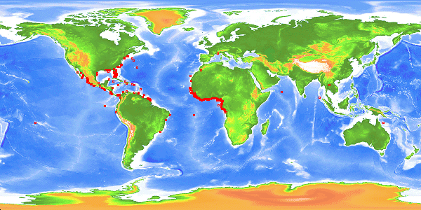 carte-carangue-hippos.gif