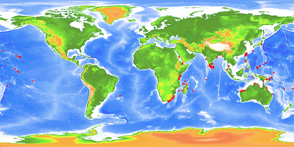 carte-carangue-ignobilis.gif