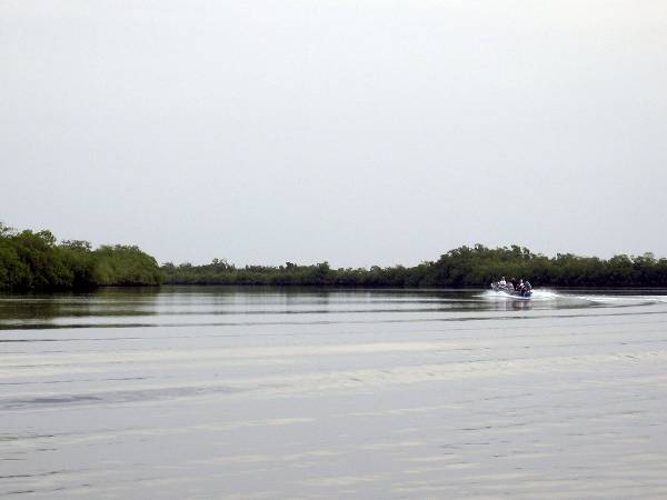 fleuve-casamance.jpg