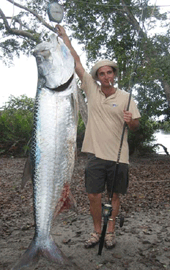 tarpon.gif